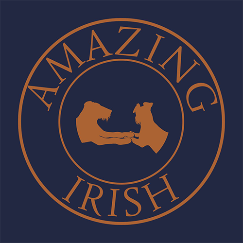 www.amazing-irish.com